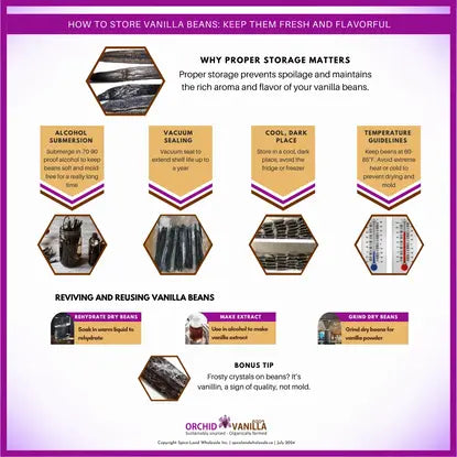 How to Store Vanilla Beans: Keep Them Fresh and Flavorful