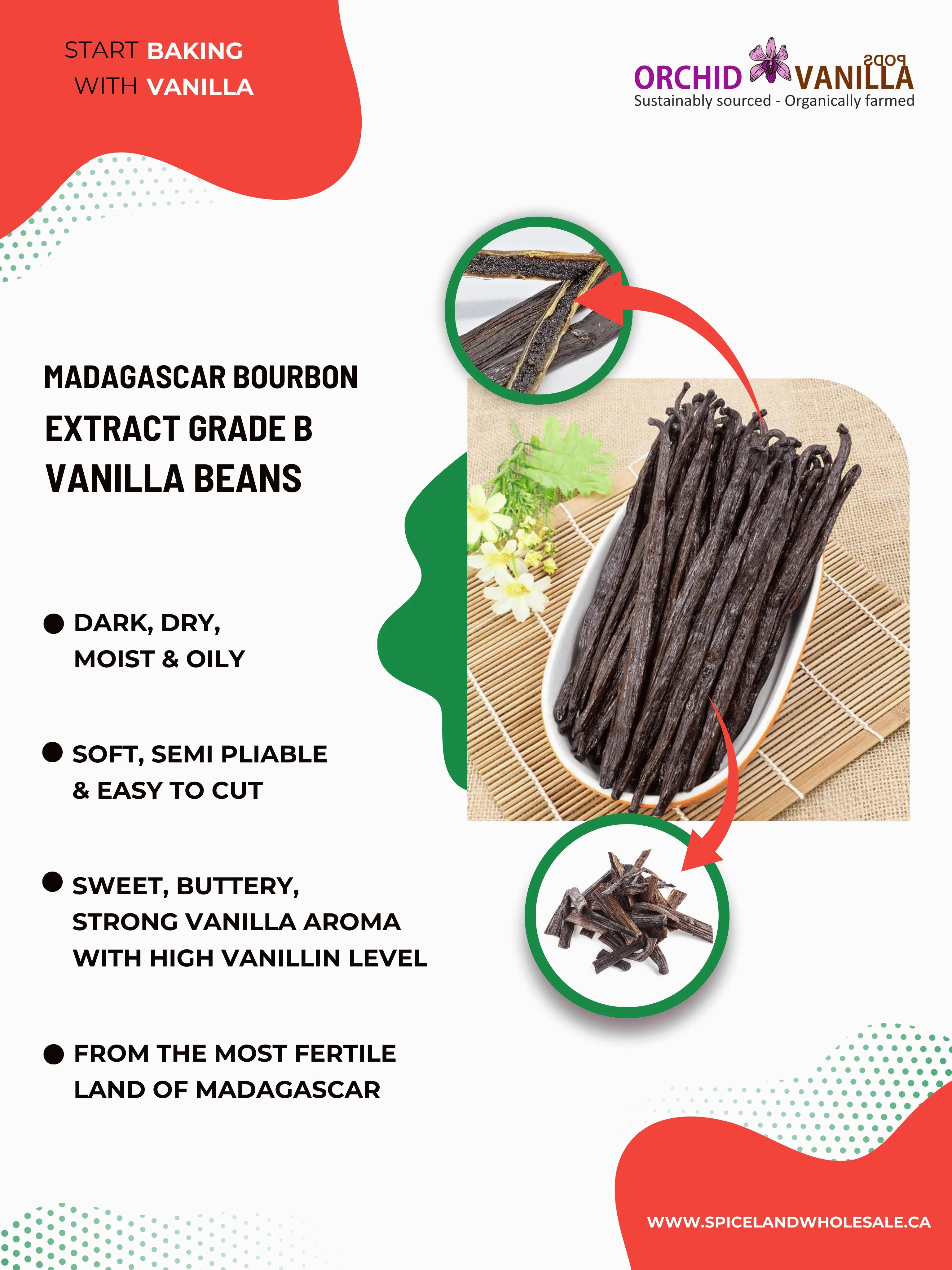 Madagascar Bourbon Extract Vanilla Beans Grade-B <br>For Extract Making<BR>1oz, 3oz, 5oz, 10oz, 20oz, 30oz