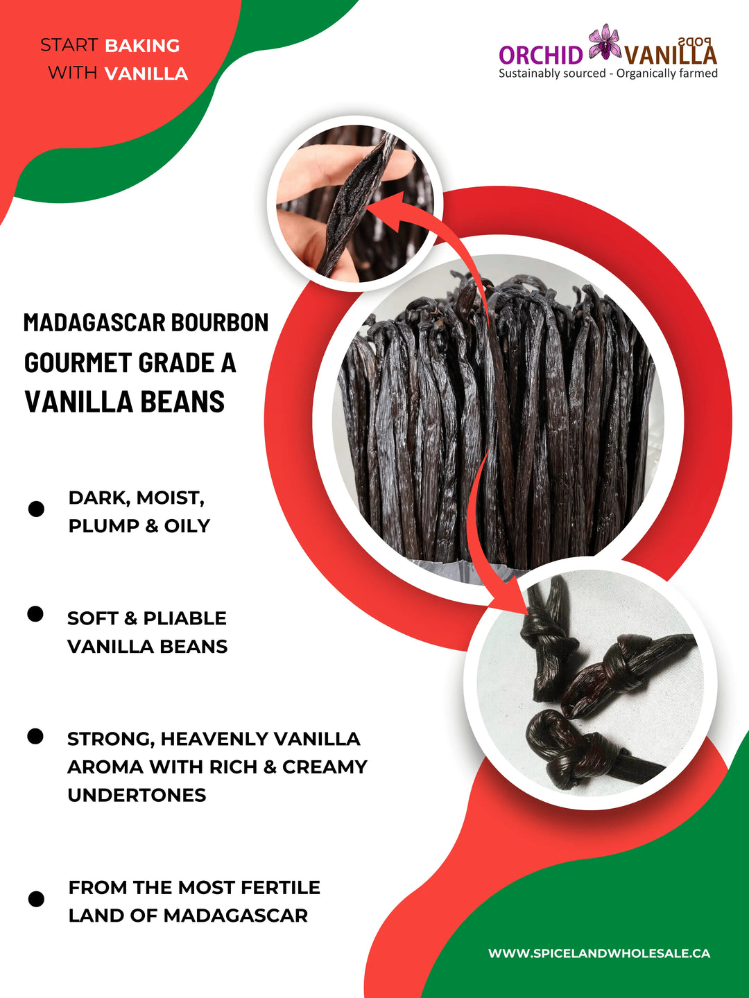 Gousses de vanille Bourbon de Madagascar Gourmet Grade-A<br> Pour l'extrait et la cuisson<br> 5 comptes, 15 comptes, 25 comptes, 50 comptes, 100 comptes