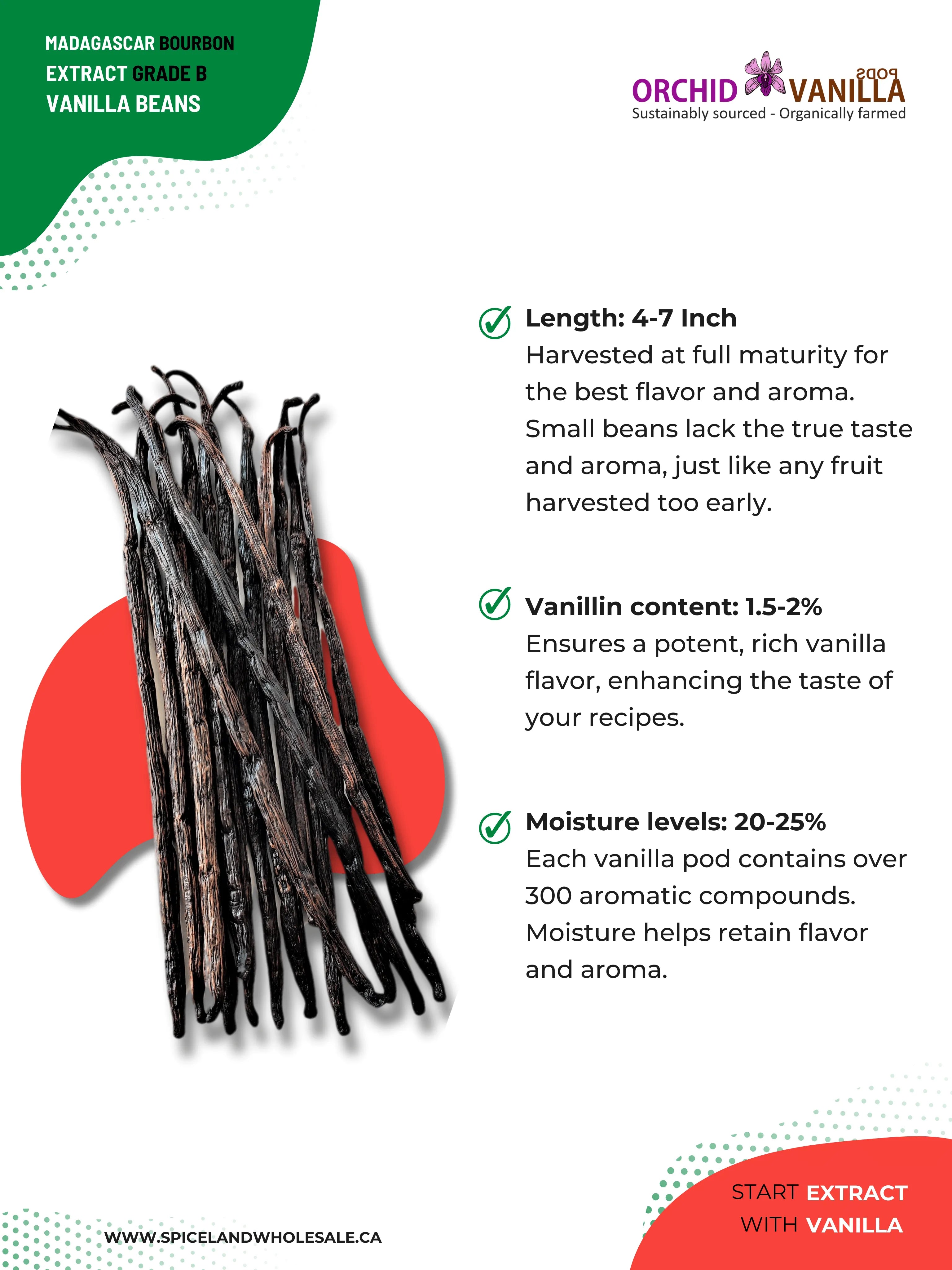 Extracto de vainilla Bourbon de Madagascar, grado B<br> Para hacer extractos<br> 5 unidades, 15 unidades, 25 unidades, 50 unidades, 100 unidades