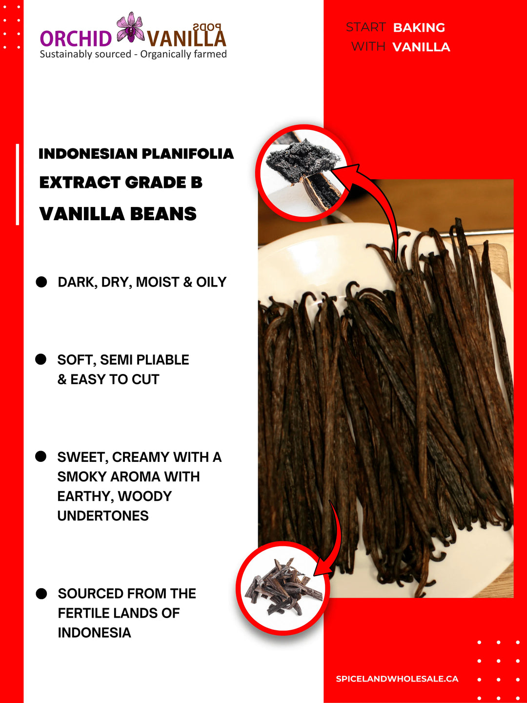 Indonesian Vanilla Beans Planifolia Extract Grade-B<br>For Extract Making<br>1/4 lb, 1/2 lb, 1 lb, 2 lb