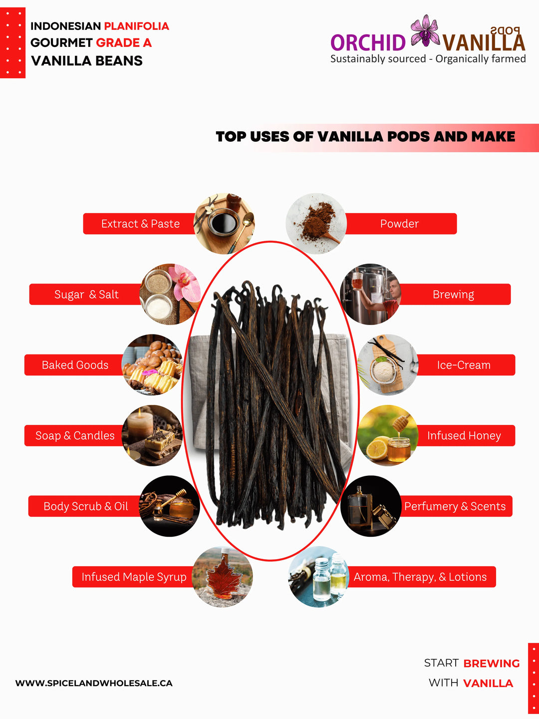 Indonesian Vanilla Beans Planifolia Extract Grade-B <br>For Extract Making<BR>5 count, 15 count, 25 count, 50 count, 100 count