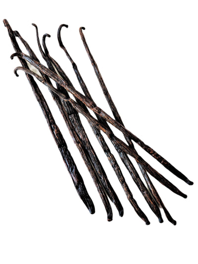 Co-op Pricing Madagascar Bourbon Extract Grade-B Vanilla Beans (CAD 11.49 Per Ounce)Minimum Order quantity for this Co-op is 2 ounces | Spice-Land Wholesale | Vanilla Beans