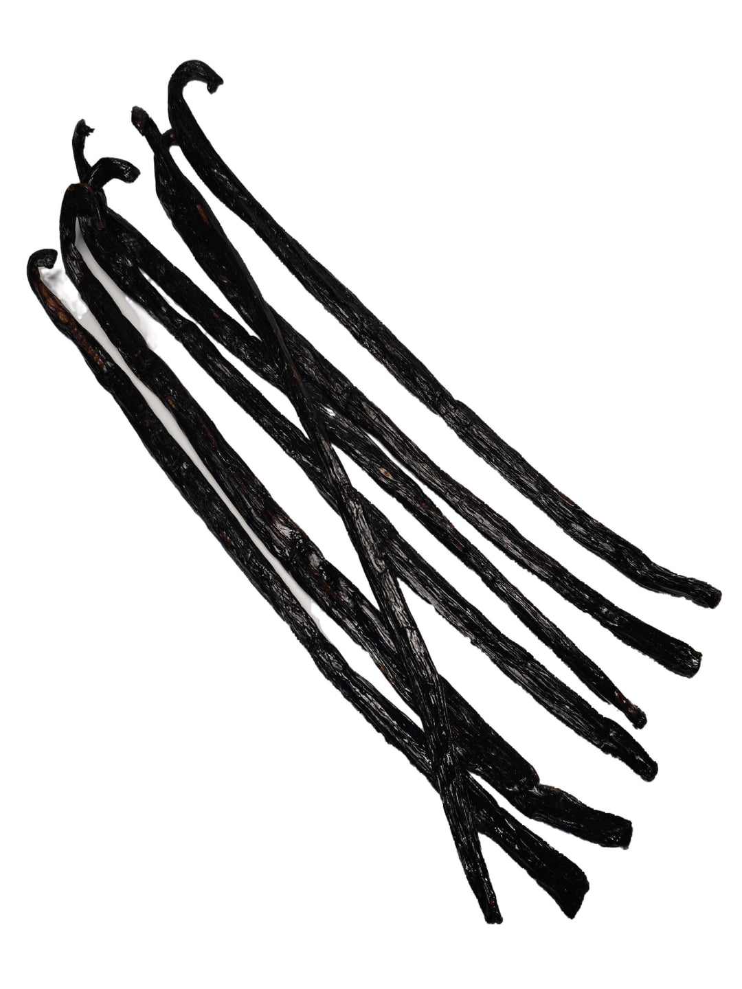 Co-op Pricing Madagascar Mexican Cure (Pompona) Vanilla Beans (CAD 15.49 Per Ounce)Minimum Order quantity for this Co-op is 2 ounces | Spice-Land Wholesale | Vanilla Beans