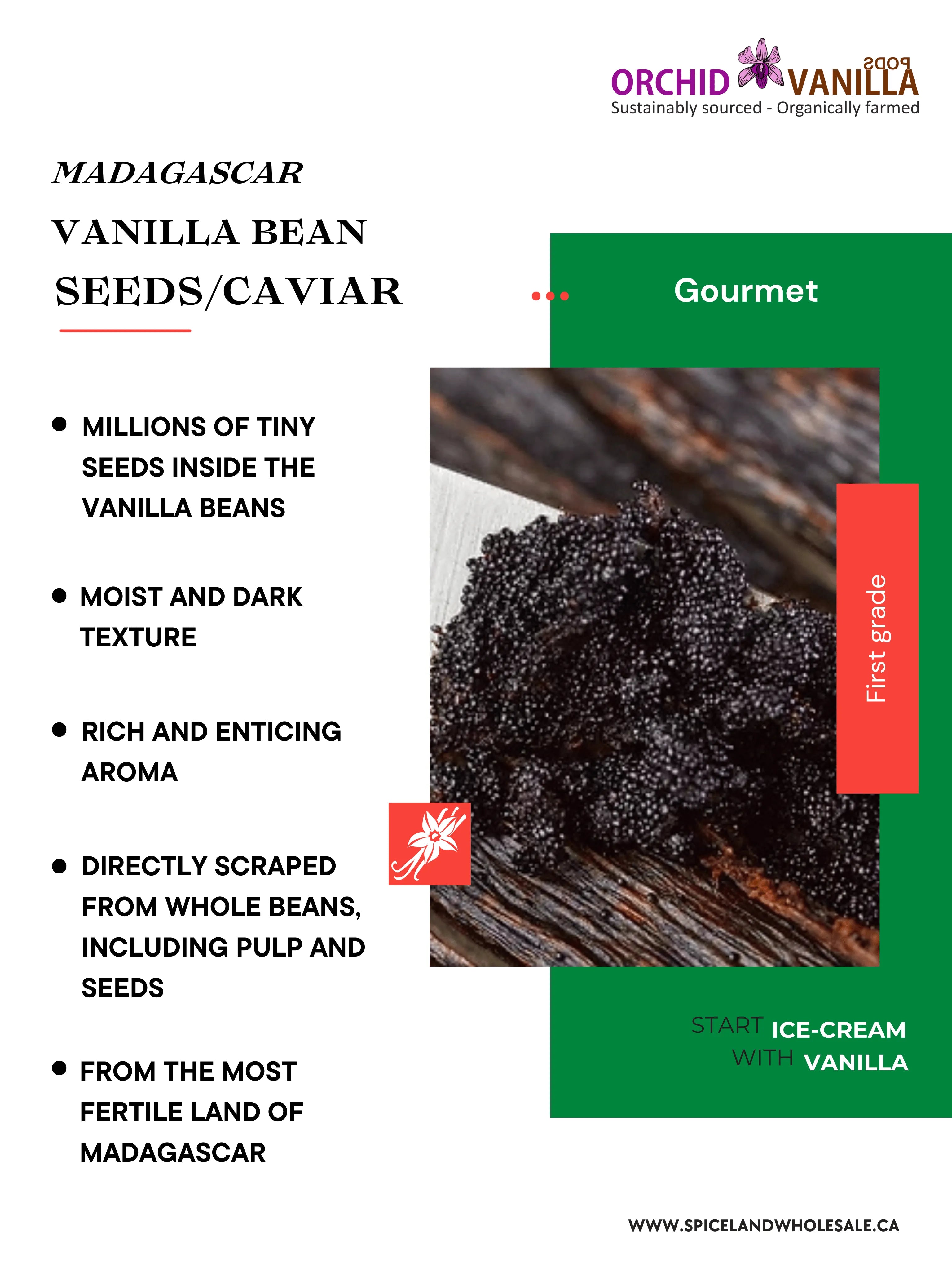 Madagascar Vanilla Bean Seeds/Caviar Gourmet <br> First Grade