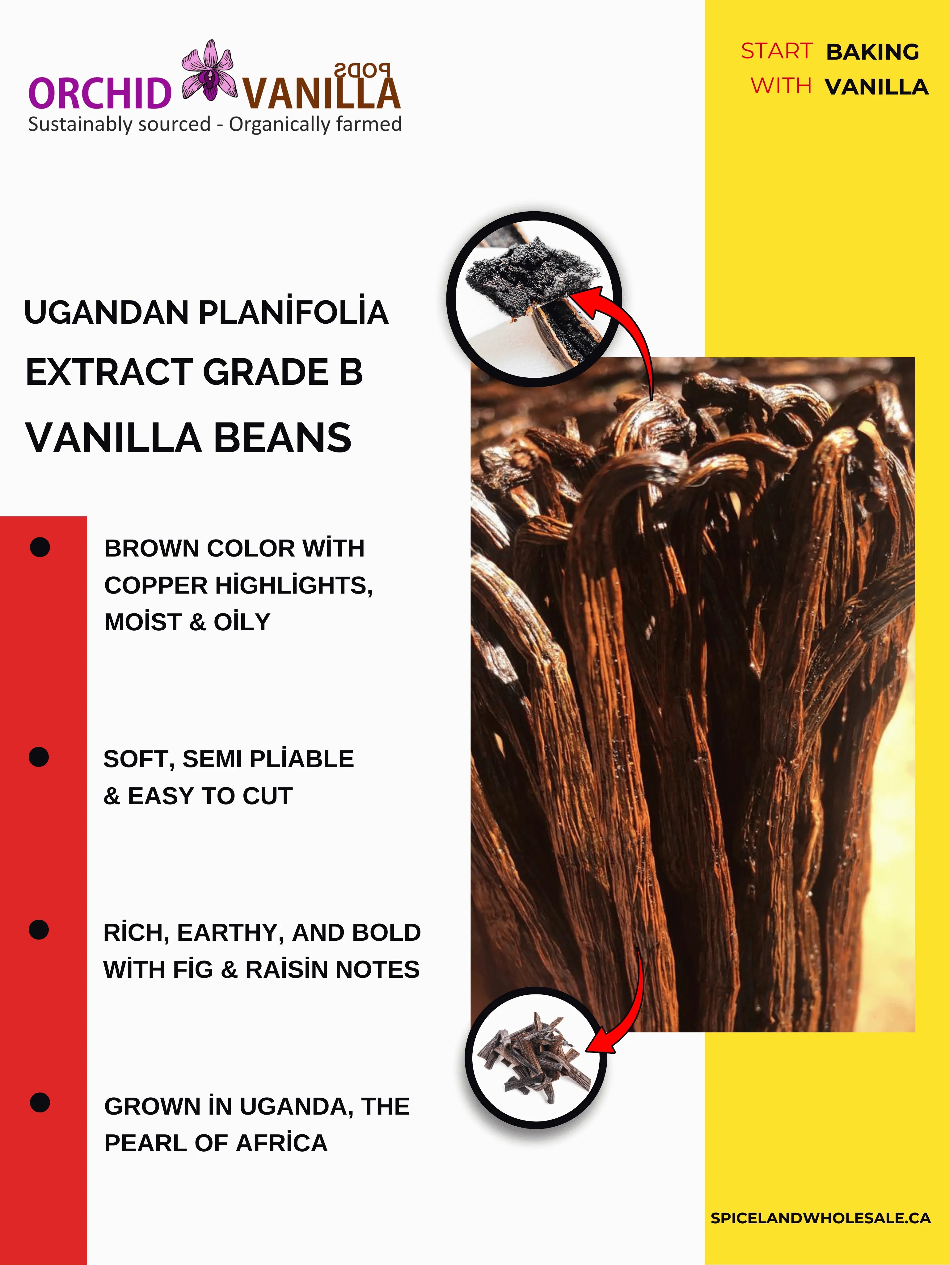 Ugandan Extract Vanilla Beans Grade-B <br>For Extract Making<BR>1/4 lb, 1/2 lb, 1 lb, 2 lb