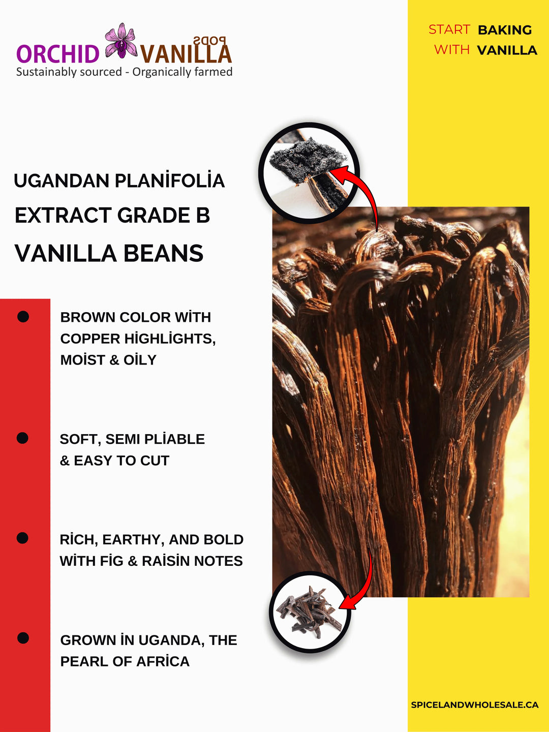 Co-op Pricing Ugandan Extract Grade-B Vanilla Beans (CAD 10 Per Ounce)<br><br>Minimum Order quantity for this Co-op price is 2 ounces