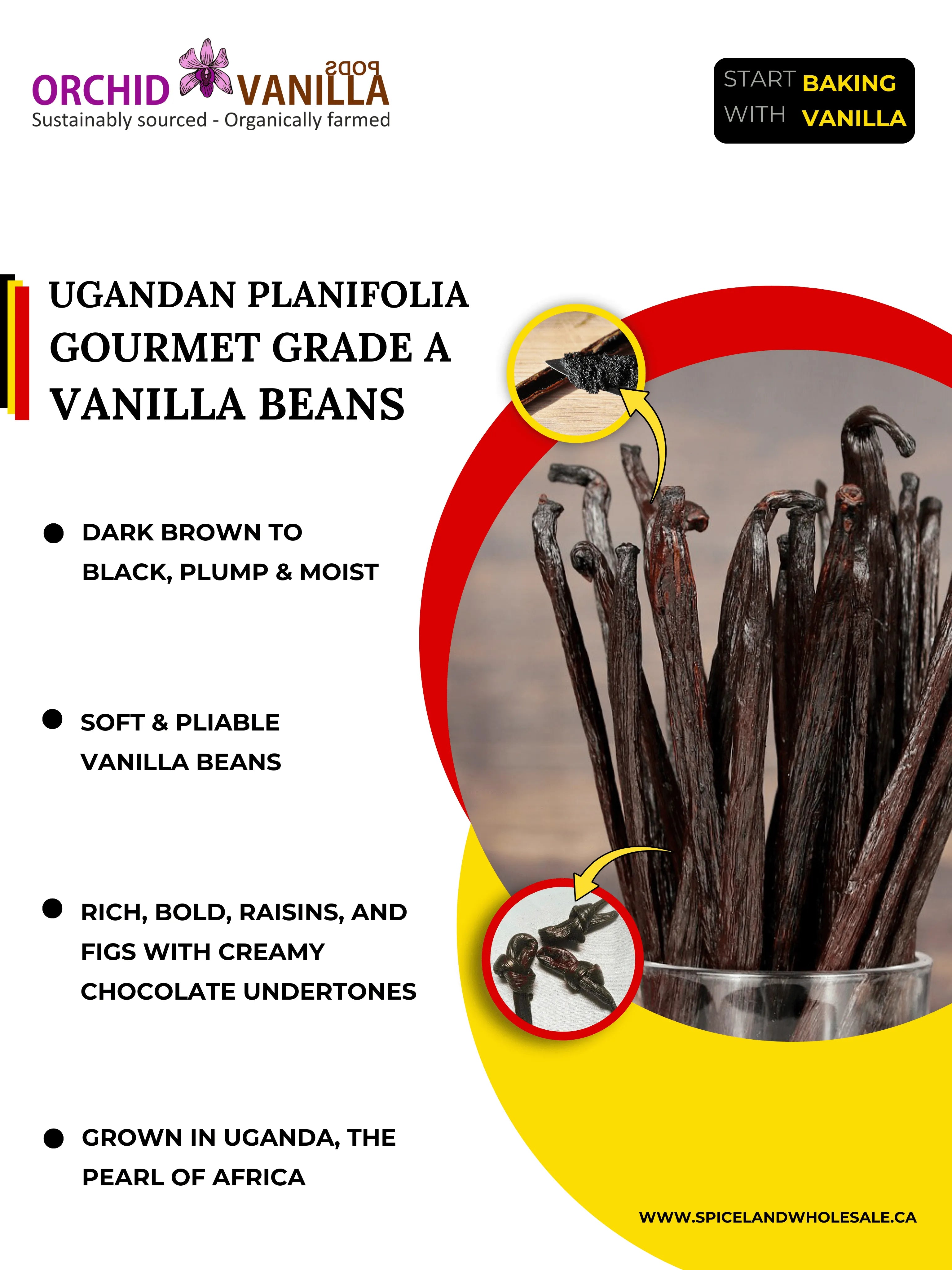 Co-op Pricing Ugandan Grade-A Gourmet Vanilla Beans (CAD 11 Per Ounce)<br><br>Minimum Order quantity for this Co-op price is 2 ounces