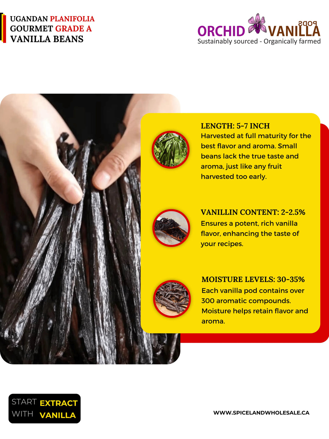 Ugandan Vanilla Beans Grade-A Gourmet <br>For Extract And Baking<BR>1/4 lb, 1/2 lb, 1 lb, 2 lb