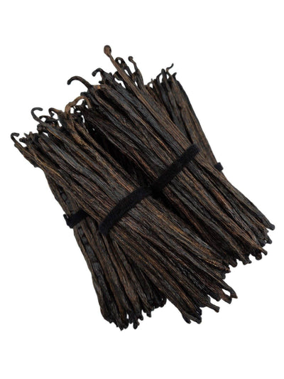 Indonesian Vanilla Beans Planifolia Extract Grade-B For Extract Making1oz, 3oz, 5oz, 10oz, 20oz, 30oz | Spice-Land Wholesale | Vanilla Beans