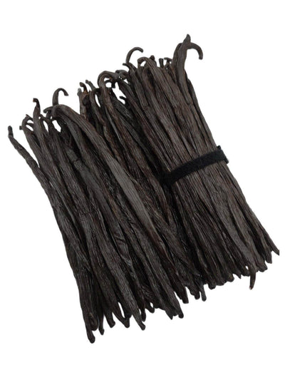 Tahitian Vanilla Beans Gourmet Grade-A For Extract And Baking5 count, 15 count, 25 count, 50 count, 100 count | Spice-Land Wholesale | Vanilla Beans